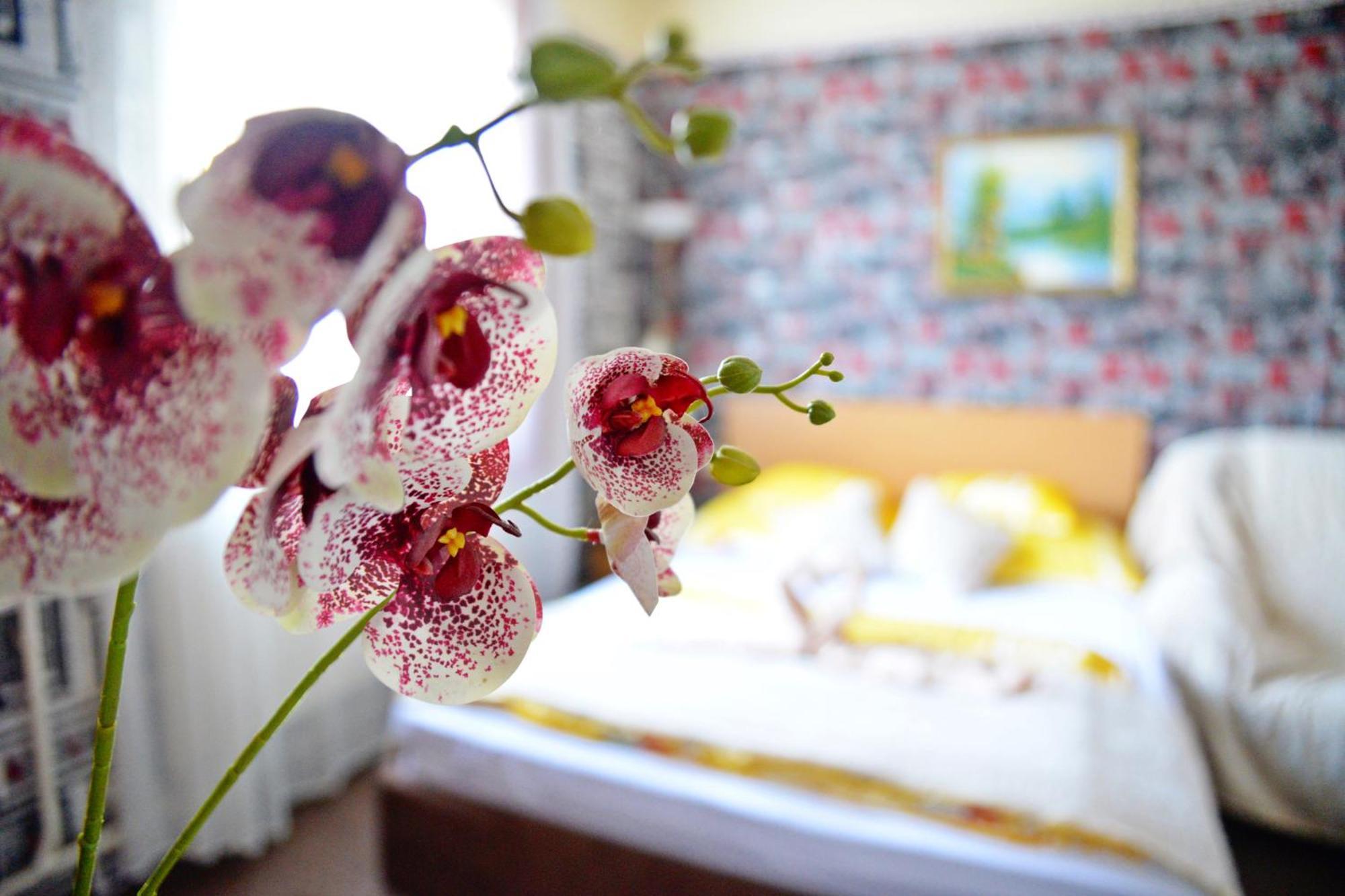Hotel Jocó Panzió Nyíregyháza Zewnętrze zdjęcie